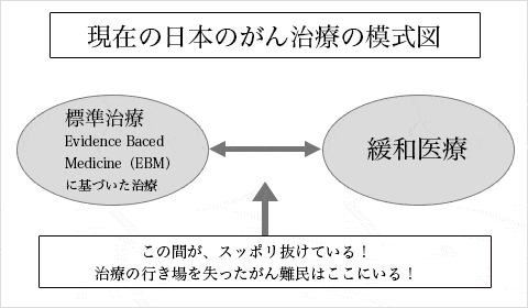 現在の日本のがん治療の模式図